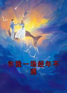 许我一场经年不遇高质量小说