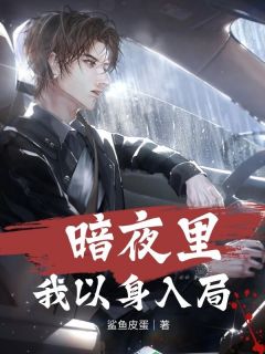 暗夜里我以身入局完整阅读