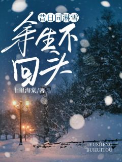 昔日同淋雪，余生不回头热门小说