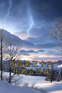 我给第三十八任老公过喜精选小说推荐