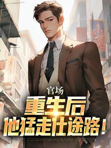 官场：重生后，他猛走仕途路！精选小说推荐