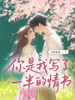 你是我写了一半的情书高质量小说
