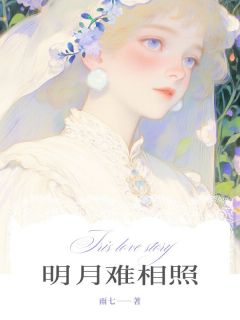 明月难相照长篇小说