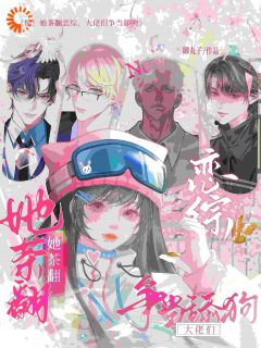 穿越：女配她逆袭成了女主精选小说