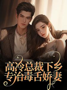 高冷总裁下乡，专治毒舌娇妻全文版