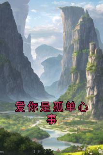 爱你是孤单心事全章阅读