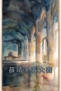薛晴黑客大赛热门小说