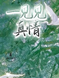 一见见真情全集小说推荐