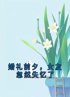婚礼前夕，女友忽然失忆了全集小说