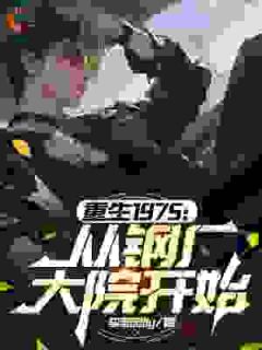 重生1975：从钢厂大院开始畅销巨著