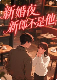 新婚夜，新郎不是他长篇小说