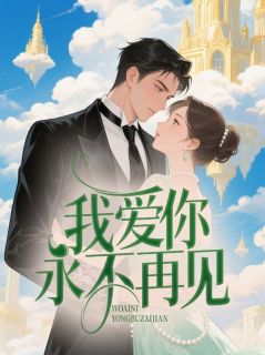 我爱你，永不再见精品小说