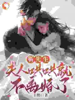 靳先生，夫人哄哄就不离婚了精选小说推荐