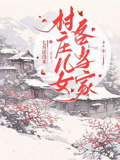 村庄儿女各当家全集小说
