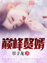 巅峰赘婿精选小说