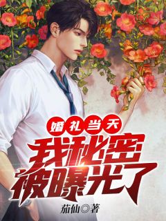 婚礼当天，我秘密被曝光了全文阅读