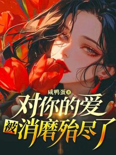 对你的爱，被消磨殆尽了精选小说