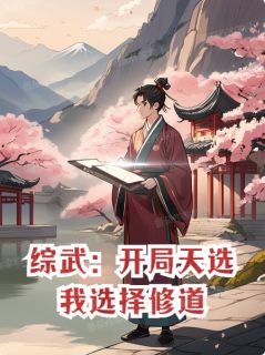 综武：开局天选，我选择修道畅销巨作