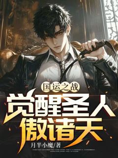 国运之战：觉醒圣人傲诸天优秀文集