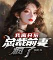 我离开后，总裁前妻疯了优秀文集