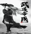 武道帝医完整版