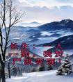 长生：一人一狗，我焚尸就变强！免费看