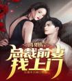 离婚后，总裁前妻找上门完整阅读