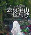 五一，我送全家去哀牢山捡冥钞畅销小说推荐