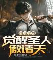 国运之战：觉醒圣人傲诸天优秀文集