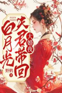 大婚夜，夫君带回白月光完整版