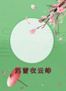 苏雪衣云峥畅销巨著
