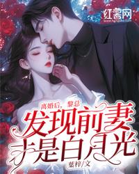 离婚后，黎总发现前妻才是白月光精品阅读