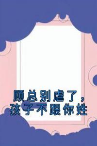 顾总别虐了，孩子不跟你姓畅销巨作