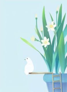 江汐棠陆惟全文版