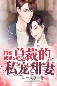 错嫁成婚：总裁的私宠甜妻热门小说