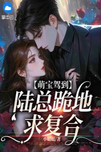 萌宝驾到，陆总跪地求复合全文版