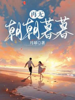 再无朝朝暮暮长篇小说