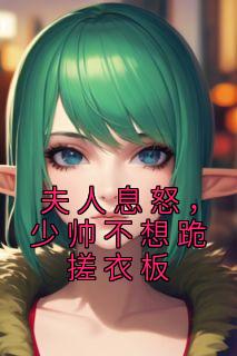 夫人息怒，少帅不想跪搓衣板精选小说