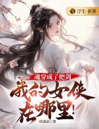魂穿成了把剑，我的女侠在哪里！全文阅读