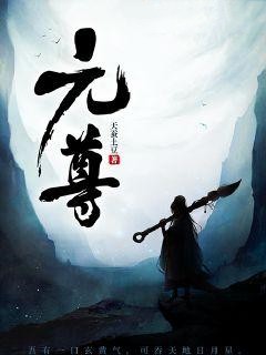 元尊精品小说