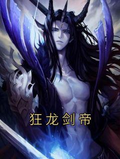 狂龙剑帝长篇小说
