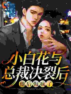 小白花与总裁决裂后，他后悔疯了长篇小说