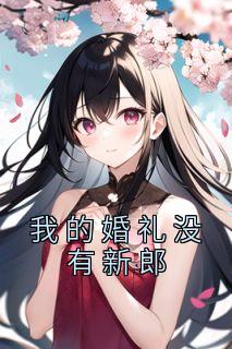 我的婚礼没有新郎精品小说
