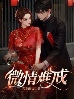 微情难戒全本阅读