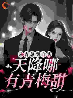 从青葱到白头：天降哪有青梅甜全集小说推荐