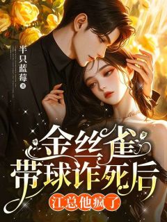 金丝雀带球诈死后，江总他疯了精选小说