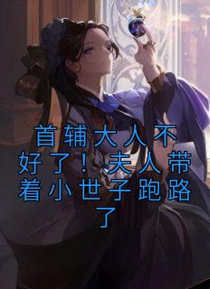 首辅大人不好了！夫人带着小世子跑路了完整版