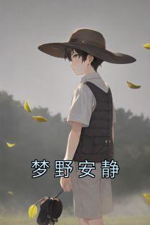 梦野安静精选小说推荐
