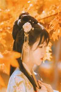 本公主除了美貌，一无所有作品精品小说