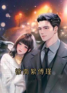 徐南絮傅瑾全集小说推荐